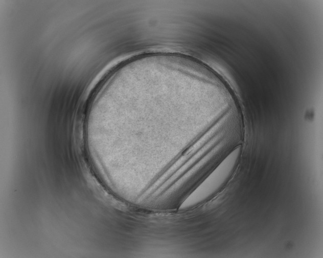 X0000112771000200909171308