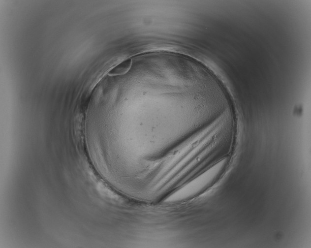 X0000112771001200909171308