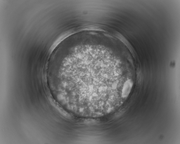 X0000112771002200909171308