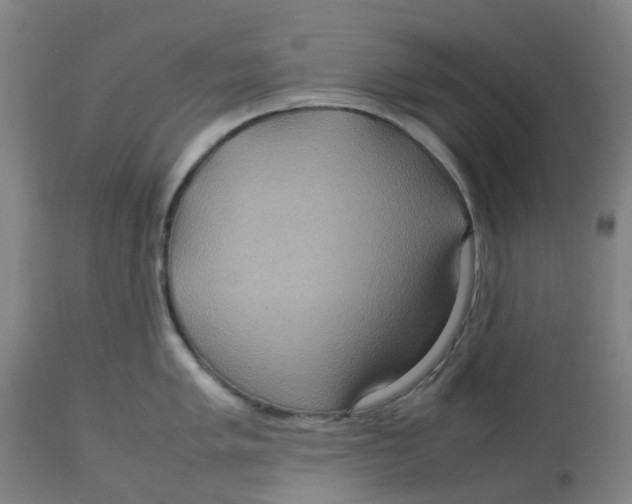 X0000112771005200909171308