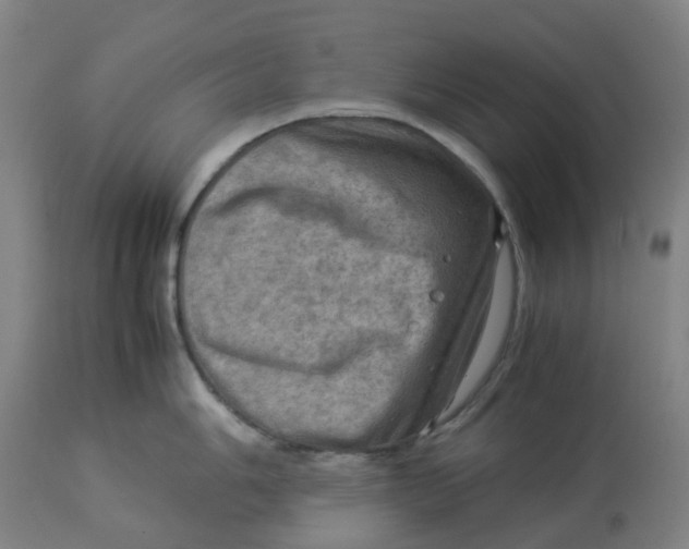 X0000112771006200909171308