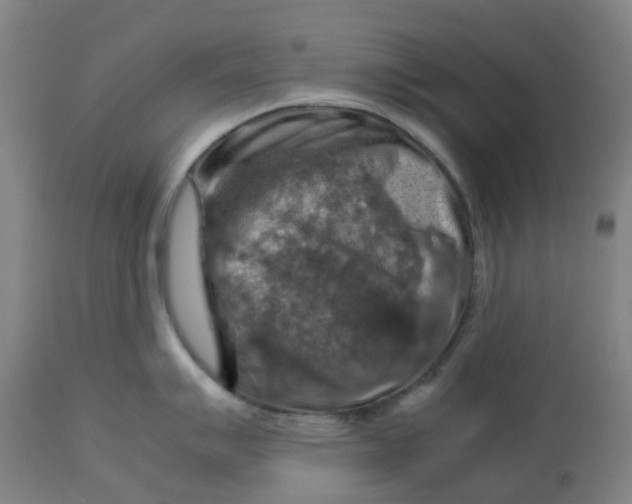 X0000112771007200909171308