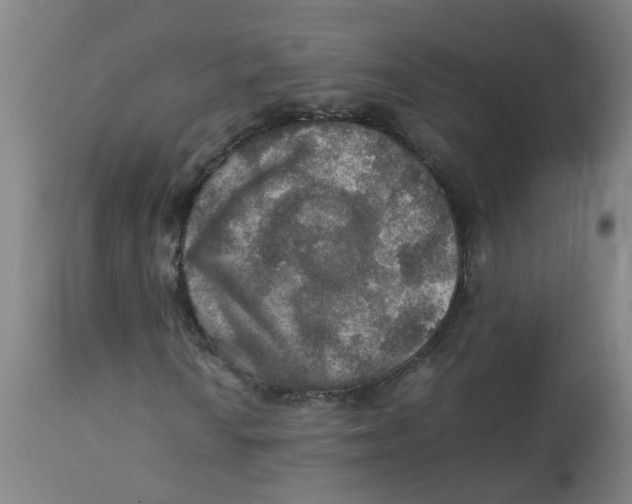 X0000112771010200909171307