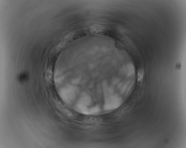 X0000112771011200909171307