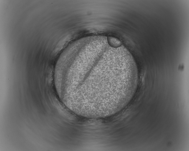 X0000112771012200909171307