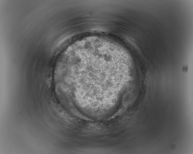 X0000112771015200909171307