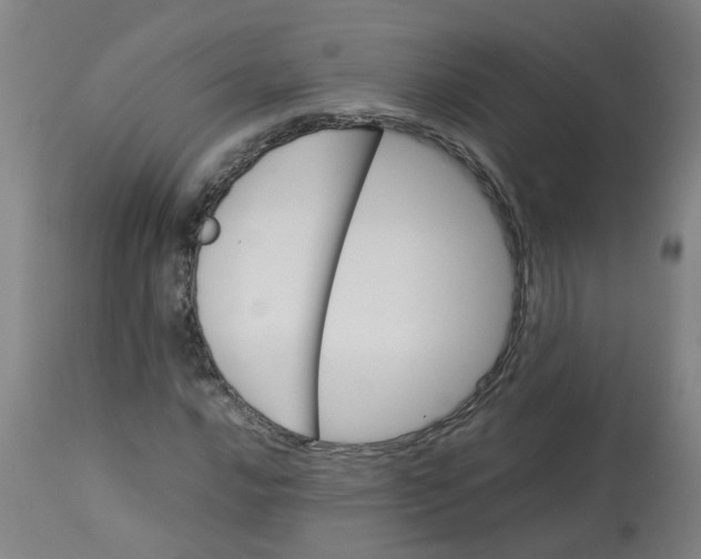 X0000112771016200909171307