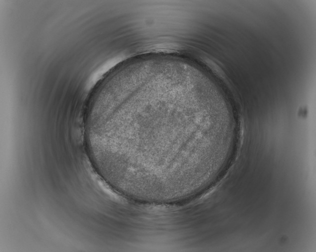 X0000112771018200909171307