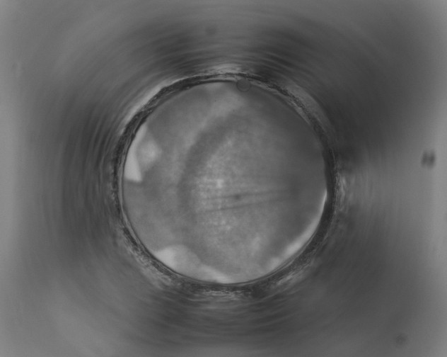 X0000112771023200909171307