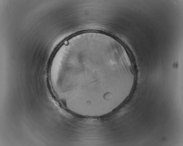 X0000112771024200909171307