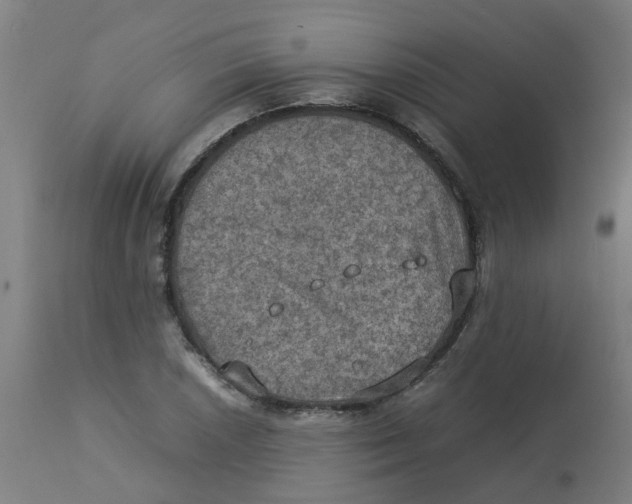 X0000112771026200909171308