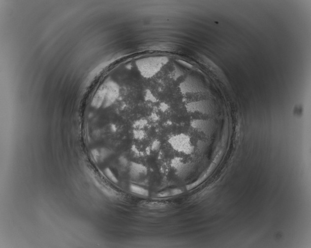 X0000112771027200909171308