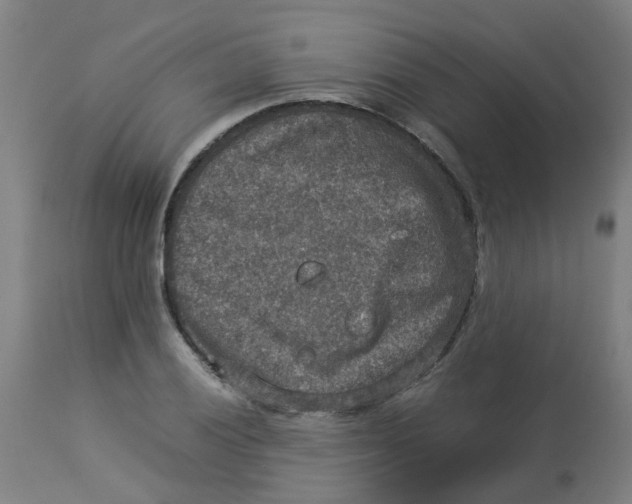 X0000112771028200909171308