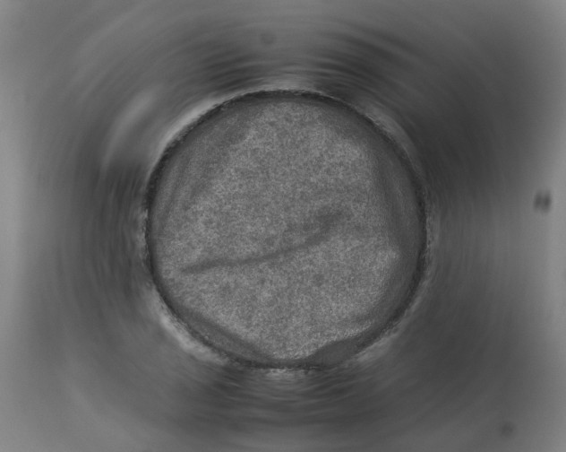 X0000112771029200909171308