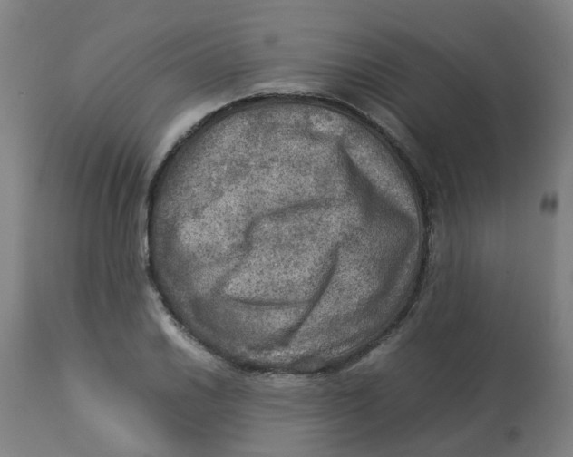 X0000112771030200909171308