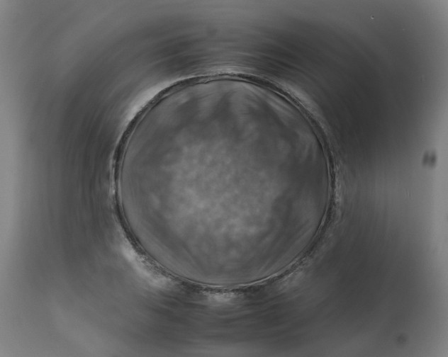 X0000112771031200909171308