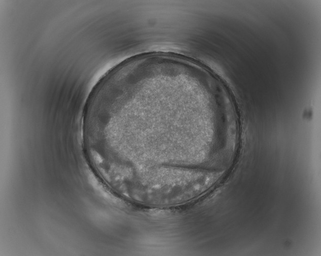 X0000112771032200909171308