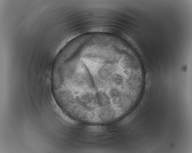 X0000112771033200909171308