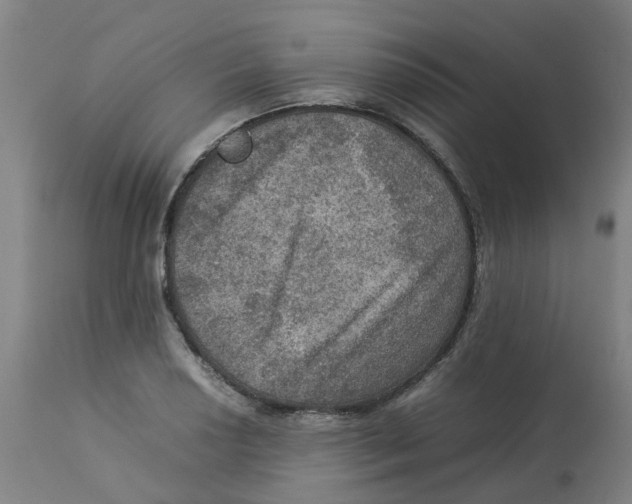 X0000112771034200909171308