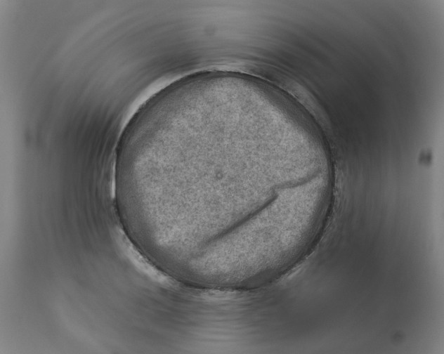 X0000112771036200909171308