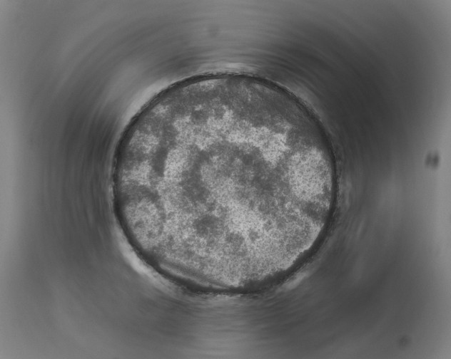 X0000112771038200909171308