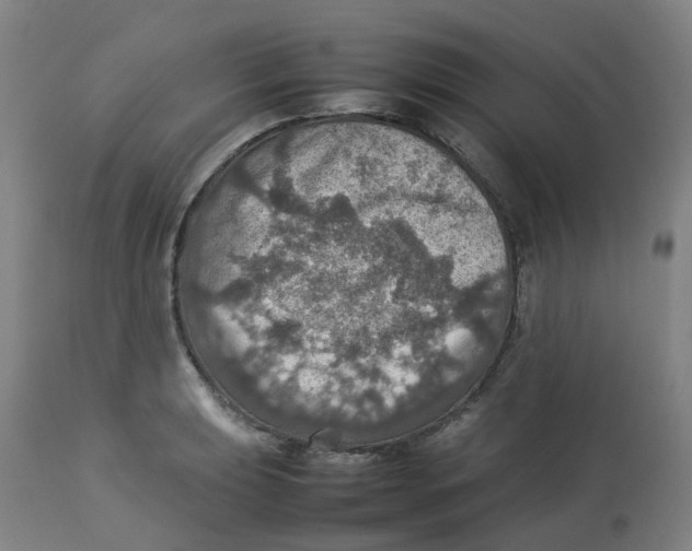 X0000112771039200909171308