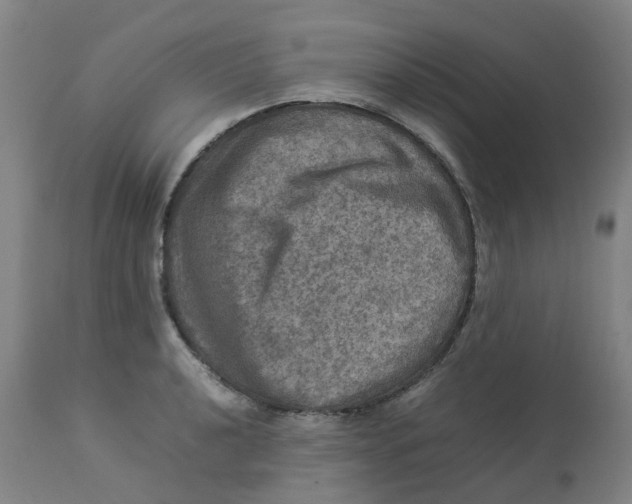 X0000112771040200909171308