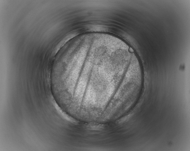 X0000112771041200909171308