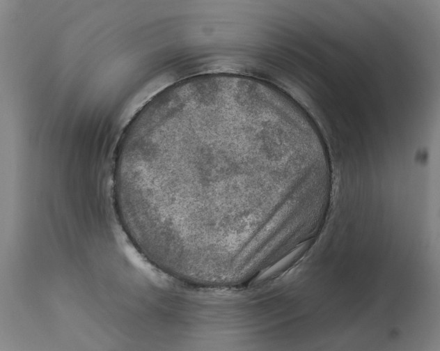 X0000112771042200909171308