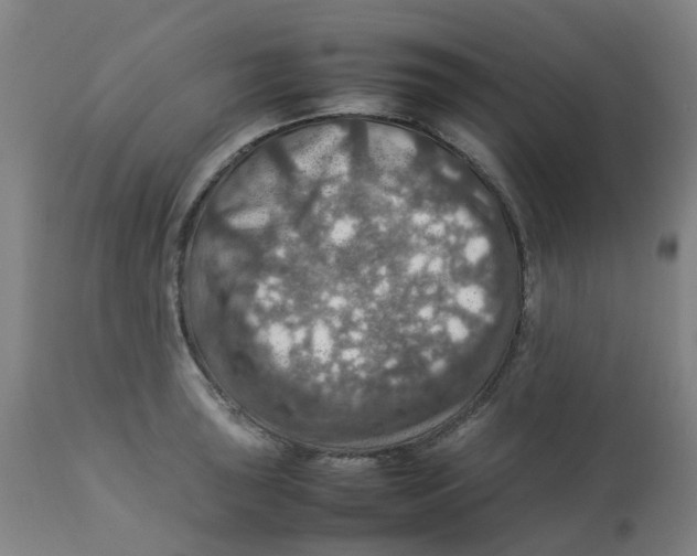 X0000112771043200909171308