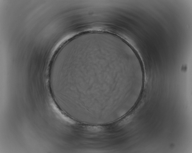 X0000112771045200909171308