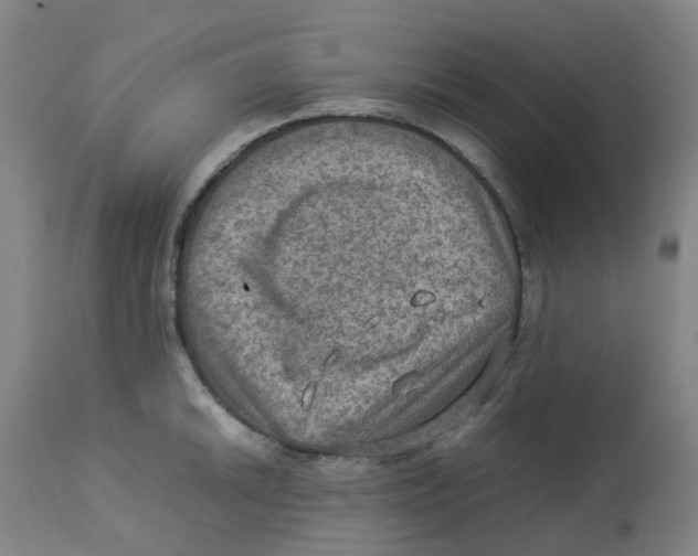 X0000112771046200909171308