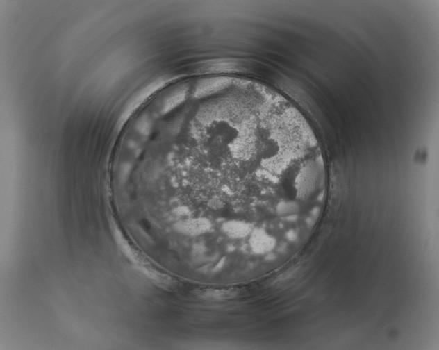 X0000112771047200909171308