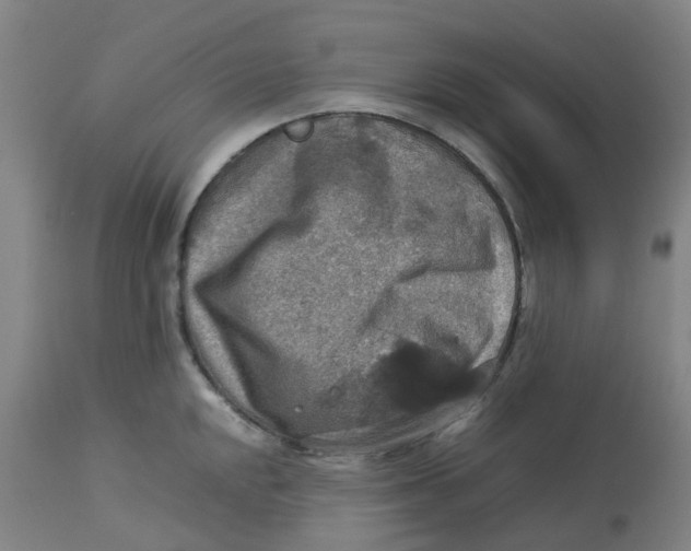 X0000112771048200909171308