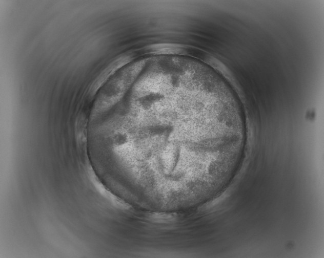 X0000112771049200909171308