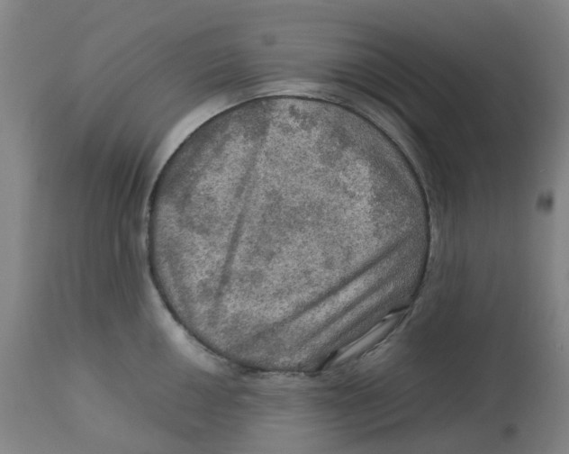 X0000112771050200909171308