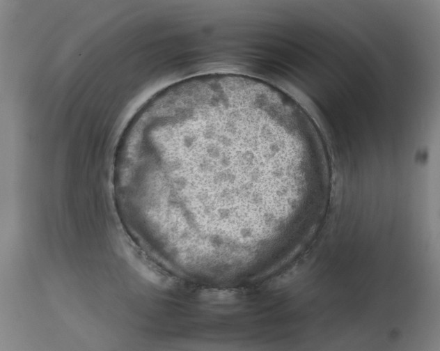 X0000112771051200909171308