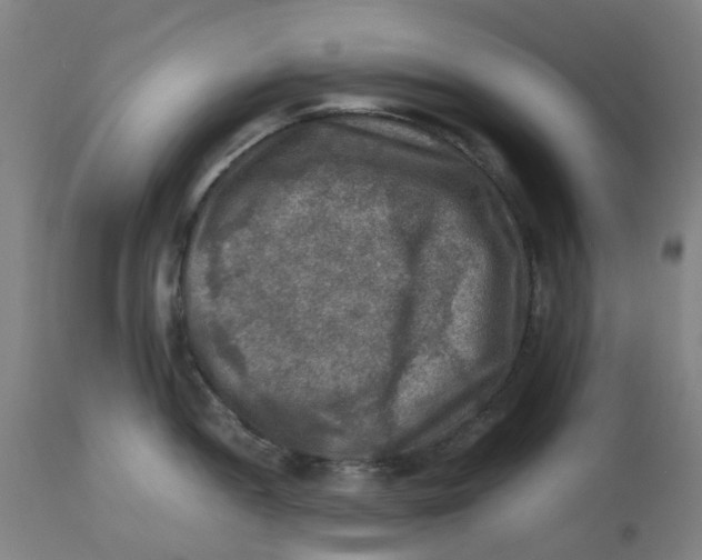 X0000112771052200909171308