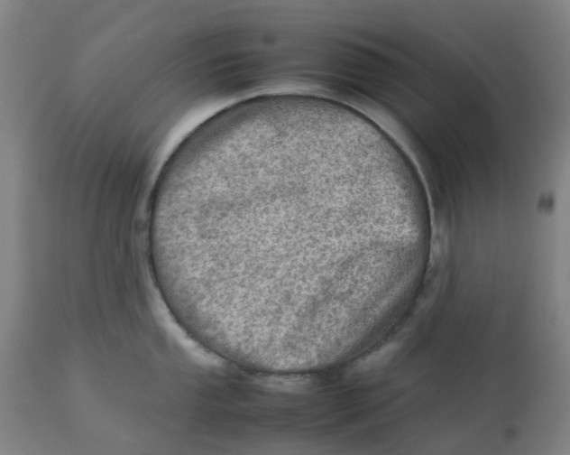 X0000112771053200909171308