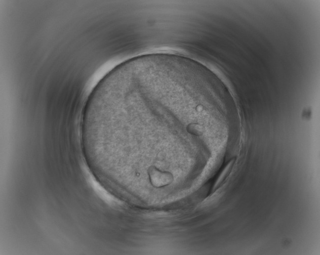 X0000112771054200909171308