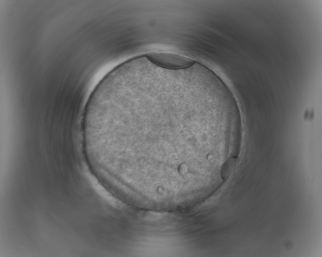 X0000112771056200909171308