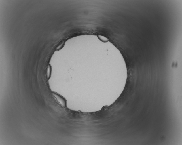 X0000112771057200909171307