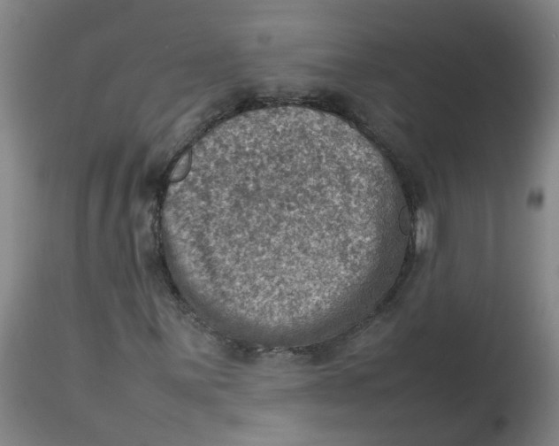 X0000112771059200909171307