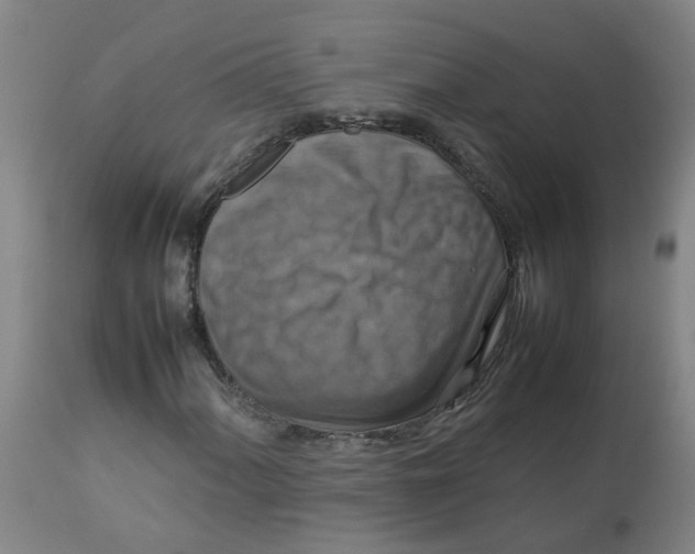 X0000112771060200909171307