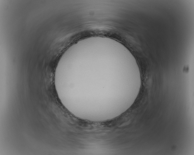 X0000112771061200909171307