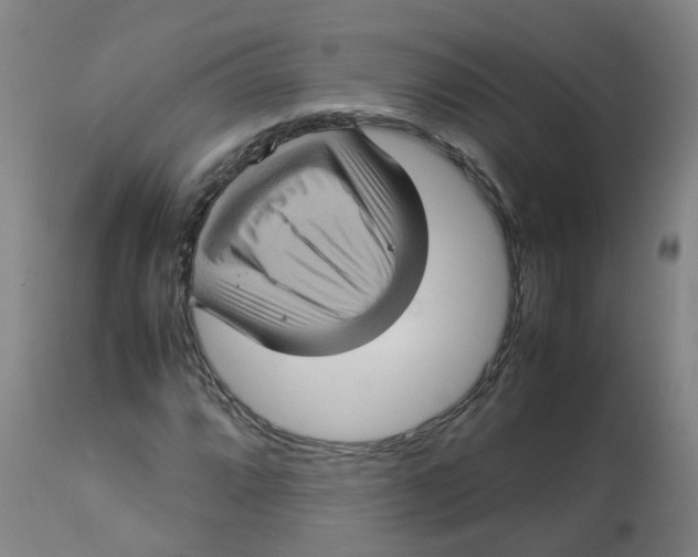 X0000112771064200909171307