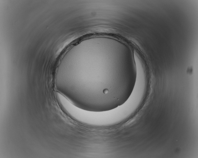 X0000112771065200909171307