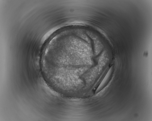 X0000112771066200909171307