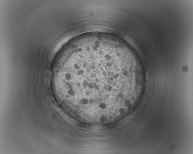 X0000112771067200909171307