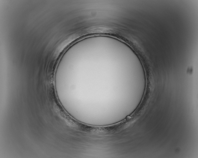 X0000112771073200909171307